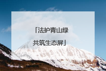 法护青山绿 共筑生态屏